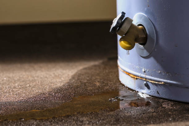 Best Water damage contractors near me  in Dover, AR