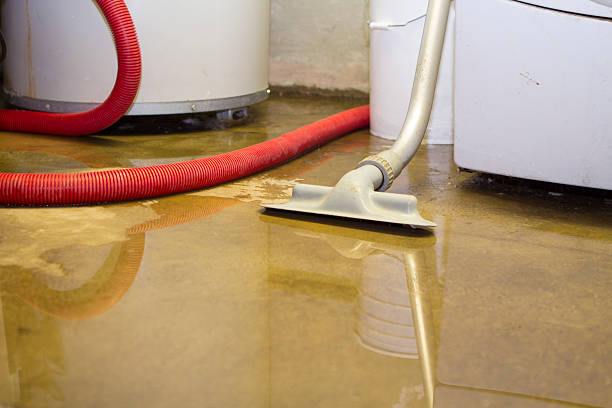 Best 24/7 water damage repair  in Dover, AR