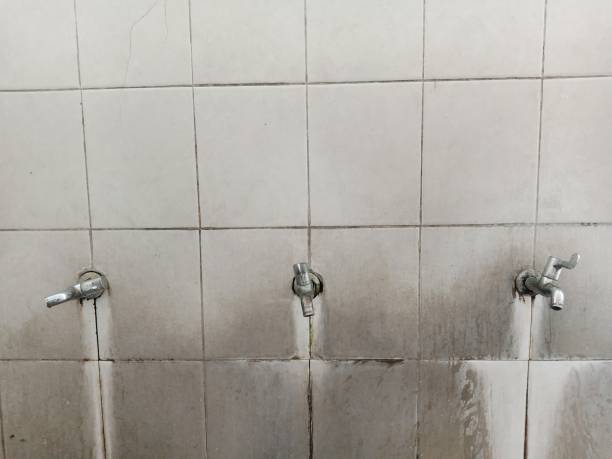 Best 24/7 water damage repair  in Dover, AR