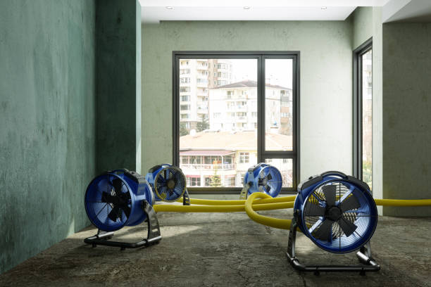 Best Sewage cleanup and water damage restoration  in Dover, AR